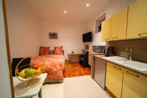 a kitchen and a bedroom with a bed and a sink at Studio Premium City center in Chalon-sur-Saône