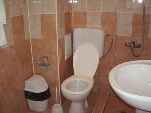 a bathroom with a toilet and a sink at Vanessa Family Hotel in Ravda