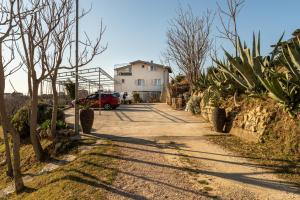 a road with a house and a bunch of plants at Apartments with parking space Lopar, Rab - 14070 in Lopar