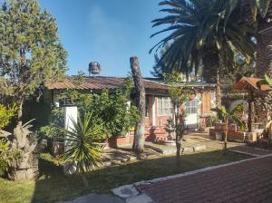 une maison avec un palmier en face dans l'établissement Finca la mora, à Morelia