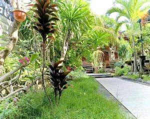 a garden with palm trees and a walkway at Green Palace Homestay in Nusa Penida