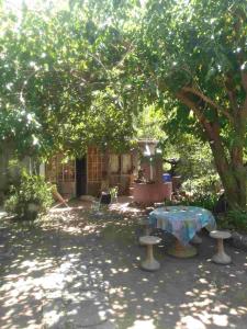 un patio avec une table et des chaises sous un arbre dans l'établissement Casa alma verde, à Luyaba 12 autres photos