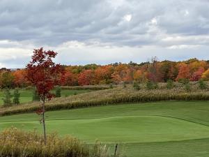 einen Golfplatz mit einem Baum inmitten eines Feldes in der Unterkunft Stunning Stayz At Friday Harbour Beach Marina Resort Lake Simcoe Innisfil in Innisfil