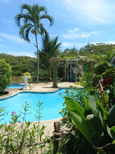 a swimming pool with a palm tree and a playground at Hotel Bambú in Canoa