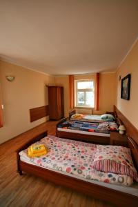 sypialnia z 2 łóżkami i oknem w obiekcie "Aleksandrówka" Restauracja i Noclegi w mieście Horyniec