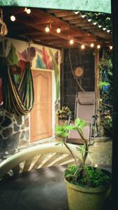 eine Terrasse mit einem Stuhl und einer Pflanze in einem Topf in der Unterkunft Acogedor apartaestudio in Armenia