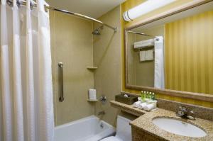 a bathroom with a shower, sink, and mirror at Holiday Inn Express New York City Chelsea, an IHG Hotel in New York