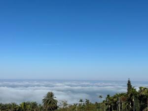 a sea of clouds in the sky with palm trees at Ming Zhen Homestay in Gukeng +9 photos