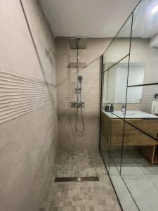 a bathroom with a shower and a sink at La villa canne à sucre in Sainte-Suzanne