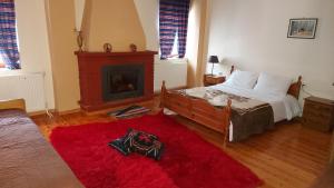 a bedroom with a bed with a fireplace and a red rug at Traditional Guesthouse Vrigiis in Agios Germanos