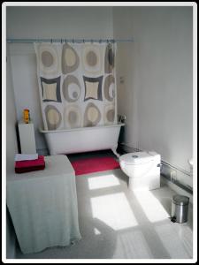 La salle de bains est pourvue de toilettes et d'un tapis rouge. dans l'établissement Fief des 3 Guillaume Chambres d'hôtes, à Écouis