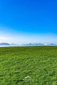 um campo de relva verde com montanhas ao fundo em Landlust am See em Schwangau