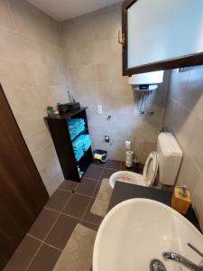 a bathroom with a sink and a toilet at House Kupa MB in Petrinja