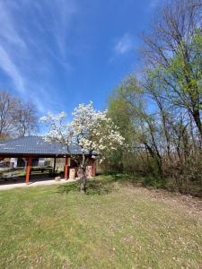 Zahrada ubytování House Kupa MB