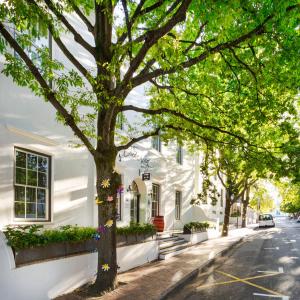 ein weißes Haus mit einem Baum auf einer Straße in der Unterkunft Oude Werf Hotel in Stellenbosch