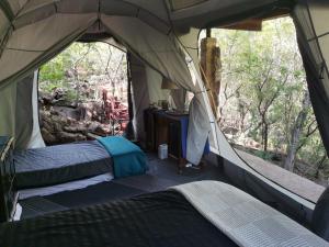 Cette tente comprend 2 lits et une fenêtre. dans l'établissement Adorable unique guest house - African bush feel, à Kalkheuvel