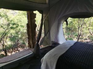 Una cama en una tienda en el bosque en Adorable unique guest house - African bush feel, en Kalkheuvel