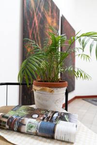 Fotografie z fotogalerie ubytování Hotel Mom Assisi v destinaci Assisi