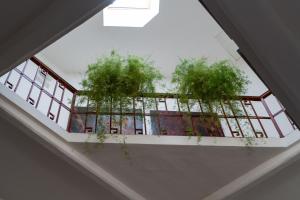 Fotografie z fotogalerie ubytování Hotel Mom Assisi v destinaci Assisi
