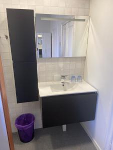 Koupelna v ubytování Tuinkamer in Monumentaal pand