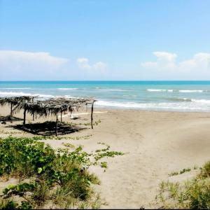 una playa con techo de paja y el océano en Casa para vacacionar en la playa, en Casitas