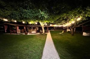 een tuin 's nachts met licht op het gras bij Józsa Tanya in Cegléd
