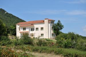 a large white house on a hill with trees at Villa Maria υπέροχη βίλα στα Μετέωρα in Kalabaka