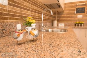 two rubber birds sitting on a kitchen counter at Living4Malaga Boutique Apartments in Málaga