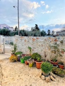 A garden outside Kathiana cozy apartment