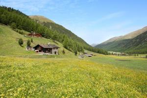 a field of flowers in a valley with a house at Chalet Shalom in Livigno