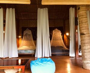 two beds in a room with white curtains at Nautilus Hostel & Hammocks in Panglao