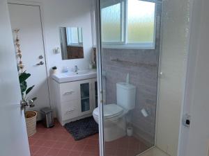 W łazience znajduje się toaleta, umywalka i prysznic. w obiekcie Tynedale Cottage Bowral w mieście Bowral