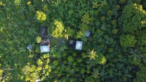 an overhead view of a forest with a house and trees at Moondock Luxury Camp in Munduk