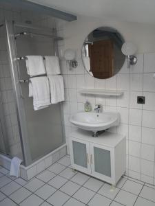 a bathroom with a sink and a shower and a mirror at Kleene Helene in Wulfen auf Fehmarn