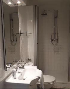een badkamer met een wastafel, een douche en een toilet bij Wildenauer's in Biedermannsdorf