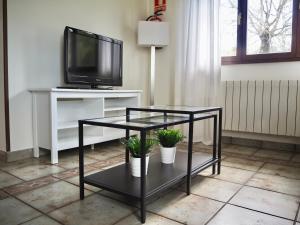 TV a/nebo společenská místnost v ubytování Finca La Cuesta