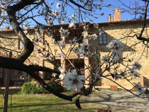 Vonkajšia záhrada v ubytovaní Agriturismo Podere San Gregorio