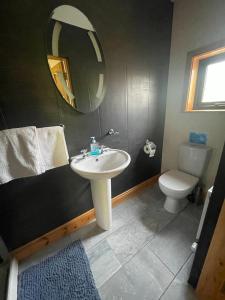 a bathroom with a sink and a toilet and a mirror at Fern Wood Estate in Glengarriff