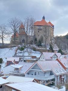 a group of houses in the snow with a castle in the background at Schönes Doppelzimmer mit Küche und Badezimmer in Elgersburg