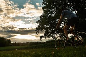 Nes i Ådal的住宿－Herregården Hoel - De Historiske，骑着自行车在田野上的人