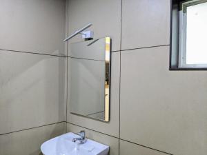 uma casa de banho com um lavatório e um espelho em Hotel Feathers em Ernakulam