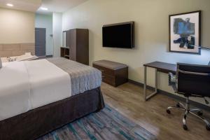 瓦爾多夫的住宿－Wingate by Wyndham Waldorf - Washington DC Area，酒店客房配有一张床、一张书桌和一台电视。