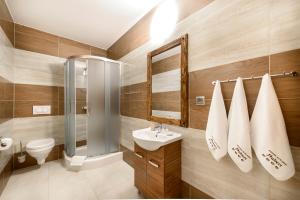 W łazience znajduje się toaleta z prysznicem i umywalka. w obiekcie Dworek Myśliwski Hubert-świetna lokalizacja 50m od Term Bania w mieście Białka Tatrzanska