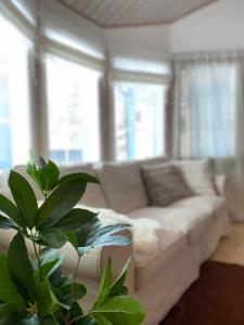 een woonkamer met een witte bank en een plant bij Iso-Syötteen Pilikki in Syöte
