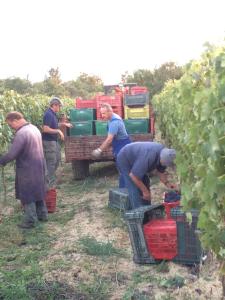 Hostia v ubytovaní Agriturismo Podere San Gregorio