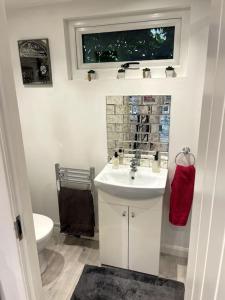 a bathroom with a sink and a toilet and a window at The Cabin, Arkley, Barnet in Barnet