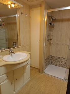 a bathroom with a sink and a shower at PATACONA BEACH in Valencia