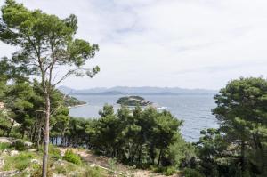 Príroda v okolí apartmánu