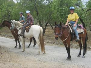 Călărie la sau în apropiere de această casă de vacanță