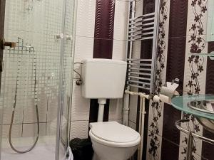łazienka z toaletą i prysznicem w obiekcie Gasthaus am Bahnhof w Sighișoarze
